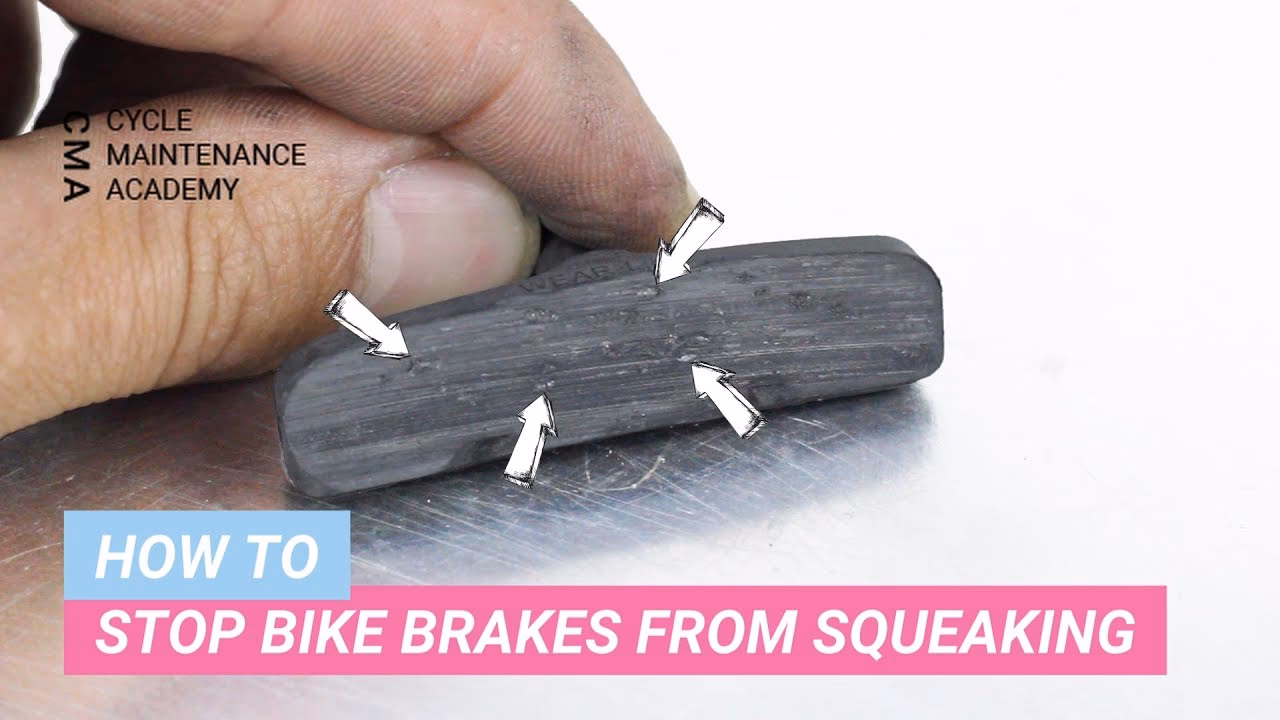 Can organic brake pads help silence squeaky brakes?