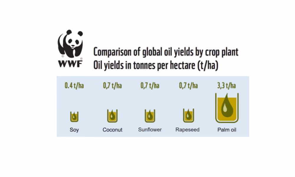 Can RSPO make palm oil sustainable?