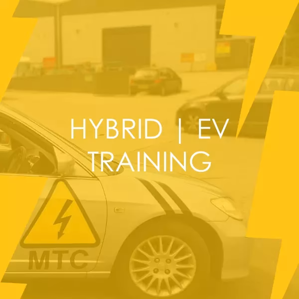 What is Mot training?