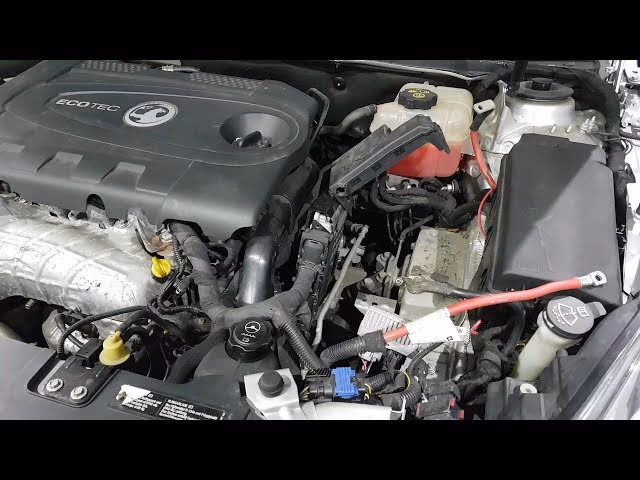 How much oil does an insignia take?