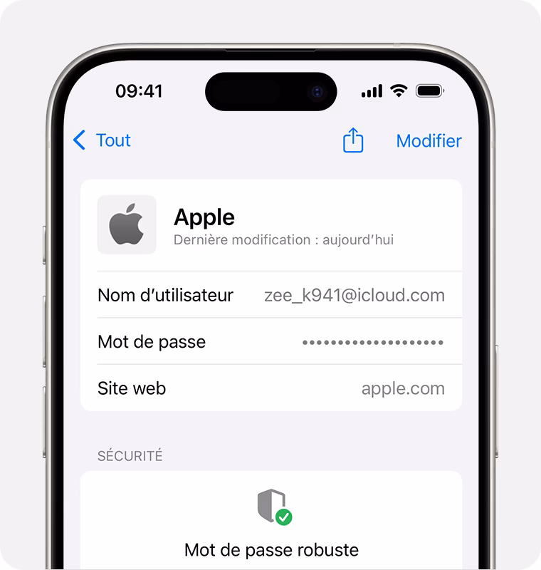 What is vehicle lookup & MOT history?