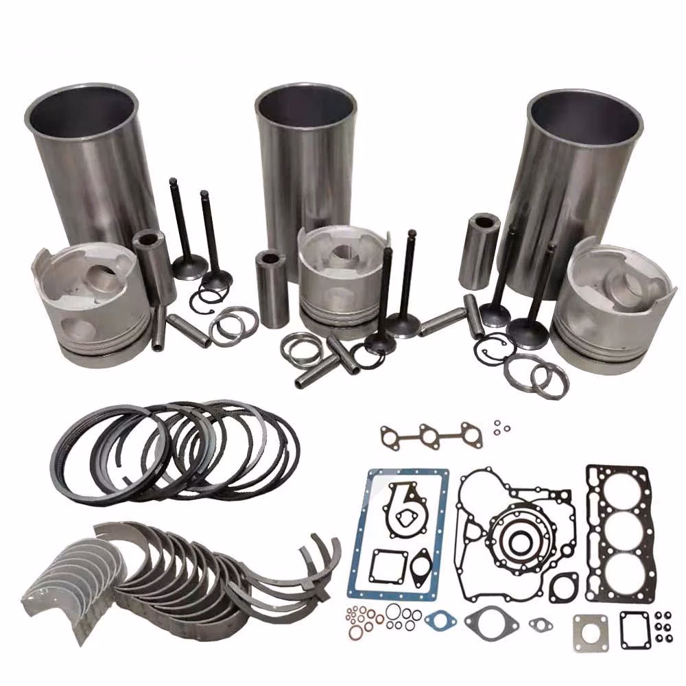 Does Isuzu 4JB1 have a rebuild kit?