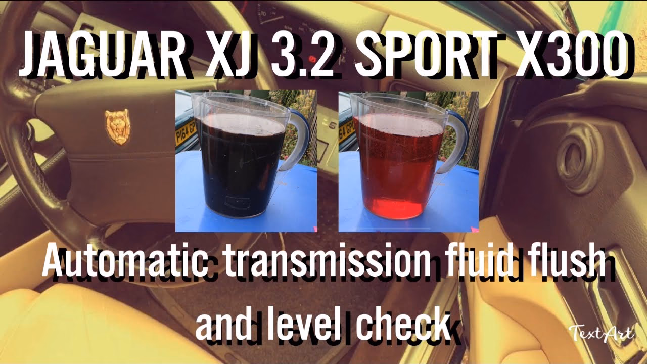 How do I change the transmission fluid level on a Jaguar?