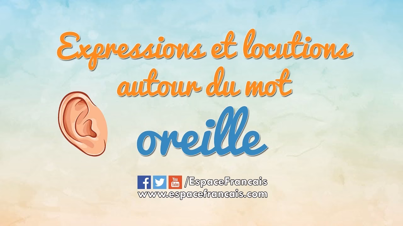 Quel est le synonyme de oreille ?