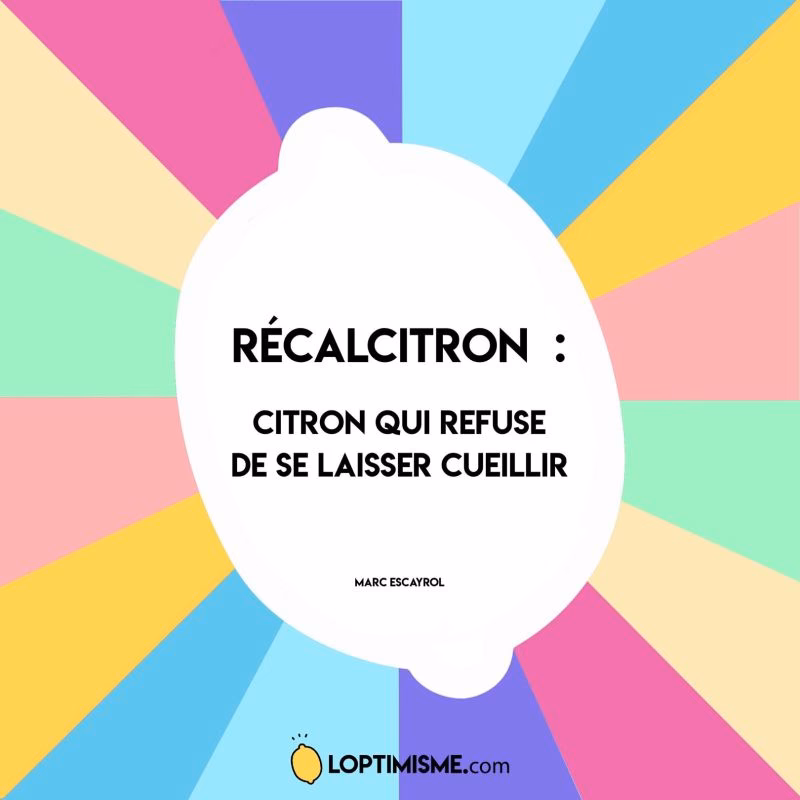 Quels sont les jeux de mots hilarants ?