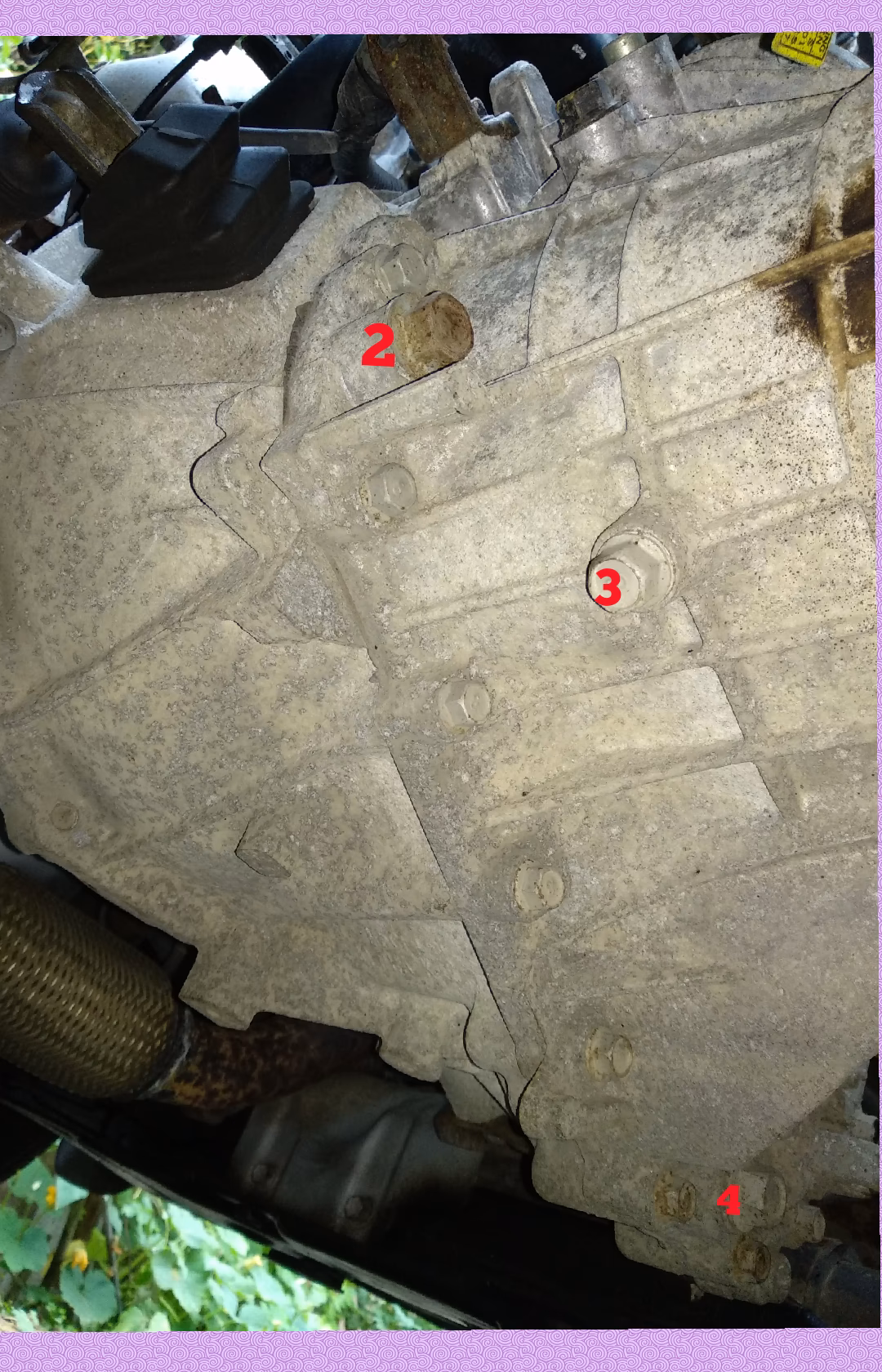 What is a Kia Rio profile?