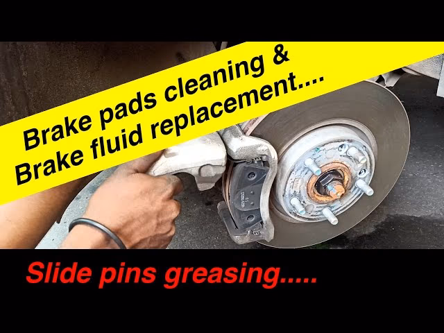 What can I do with my Kia Seltos maintenance assistant?