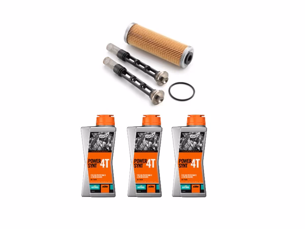 Is the KTM 790 Duke L a European model?