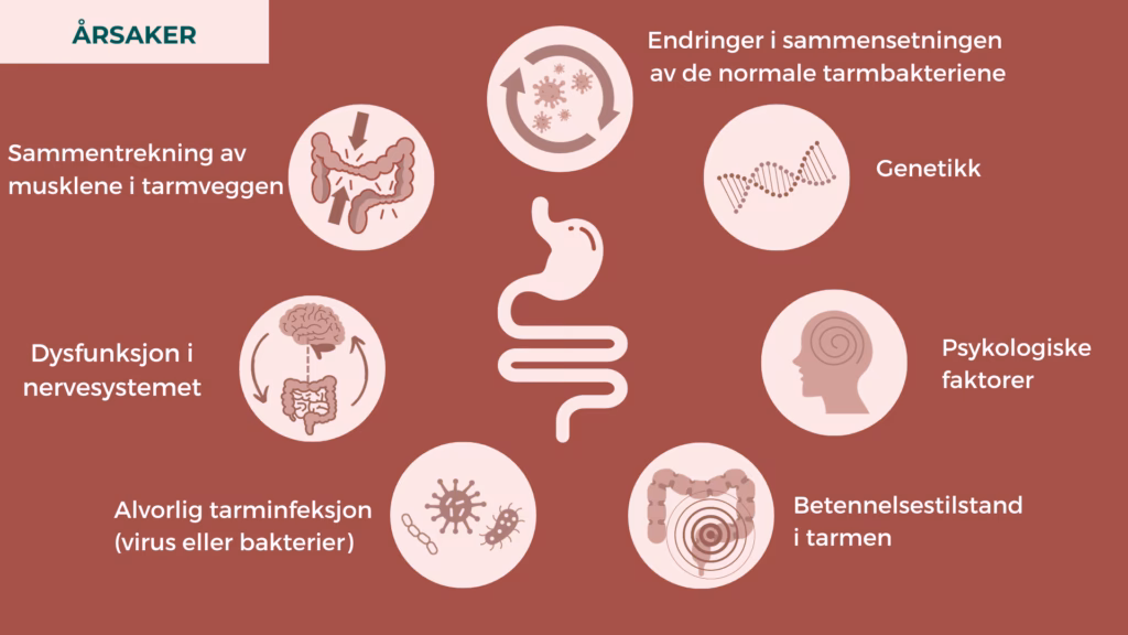 Where can I find information about irritable bowel syndrome?
