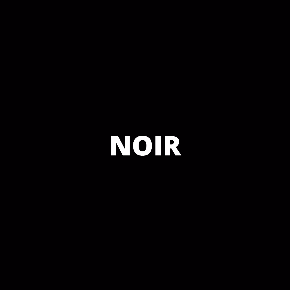 Quelle est l'histoire du noir ?