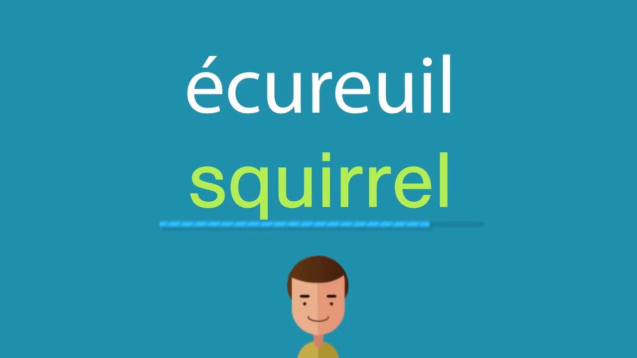 Comment faire une traduction automatique de 'écureuil'?