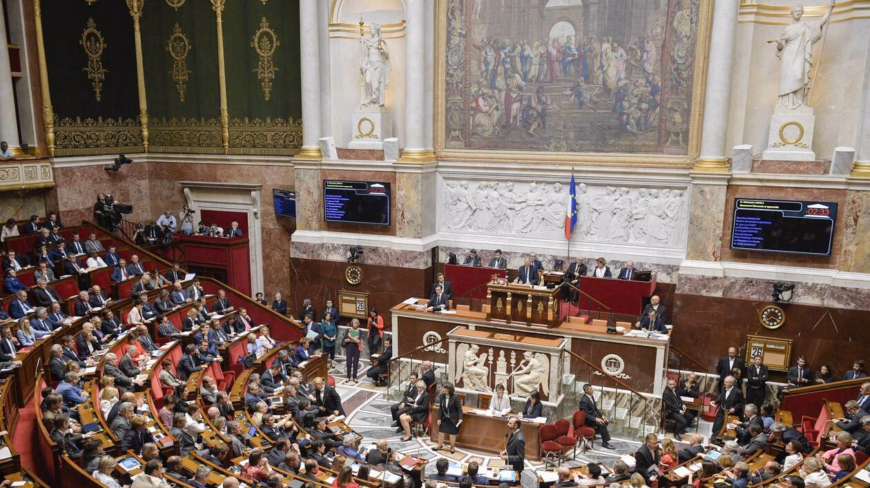 Qui a voté la suppression du mot race ?