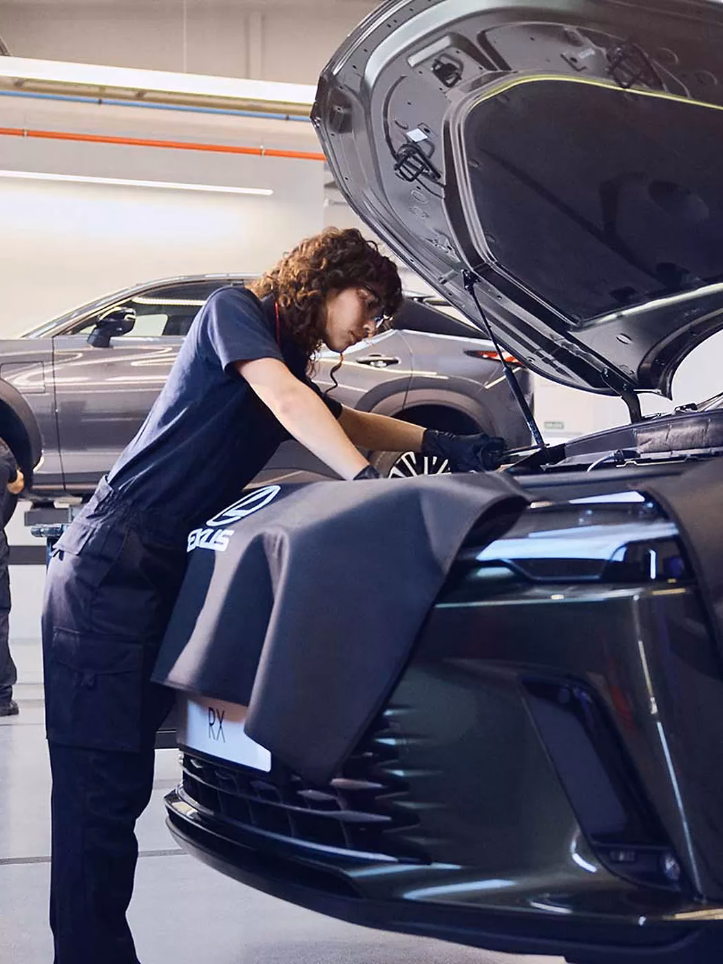 Should I book my Lexus for a service or MOT?