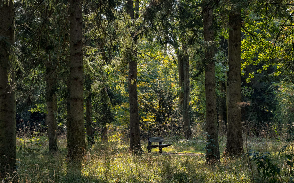 Where is Linford Wood?