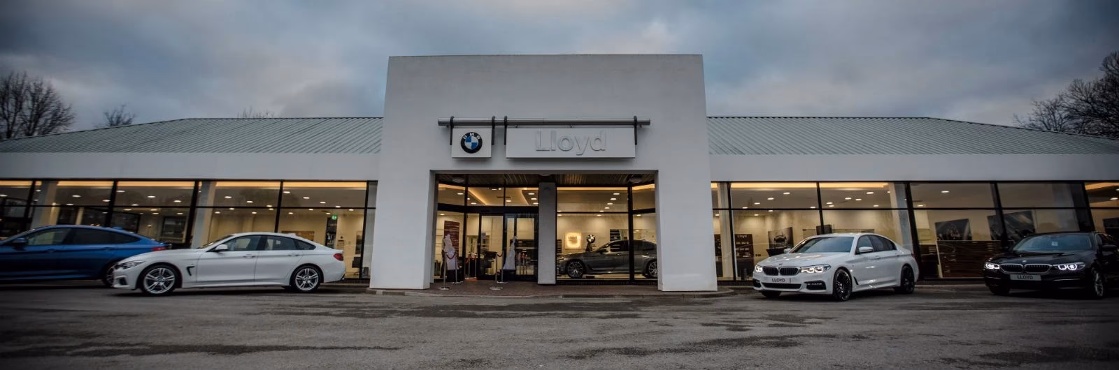 Who are Lloyd BMW?
