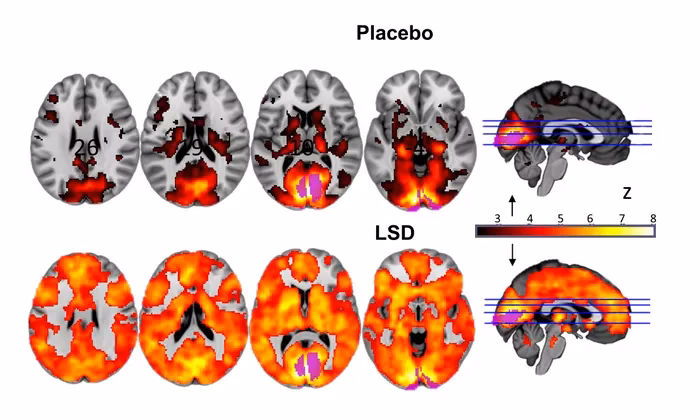 What psychedelics are used to treat PTSD?