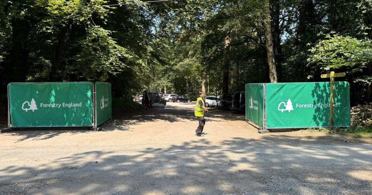 What is Lynford stag?