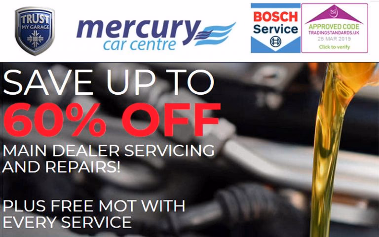 What services does Mercury offer?