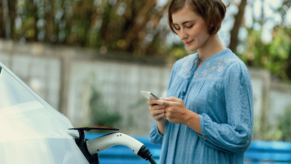 What information does mi Vehicle Finance Limited collect from Companies House?