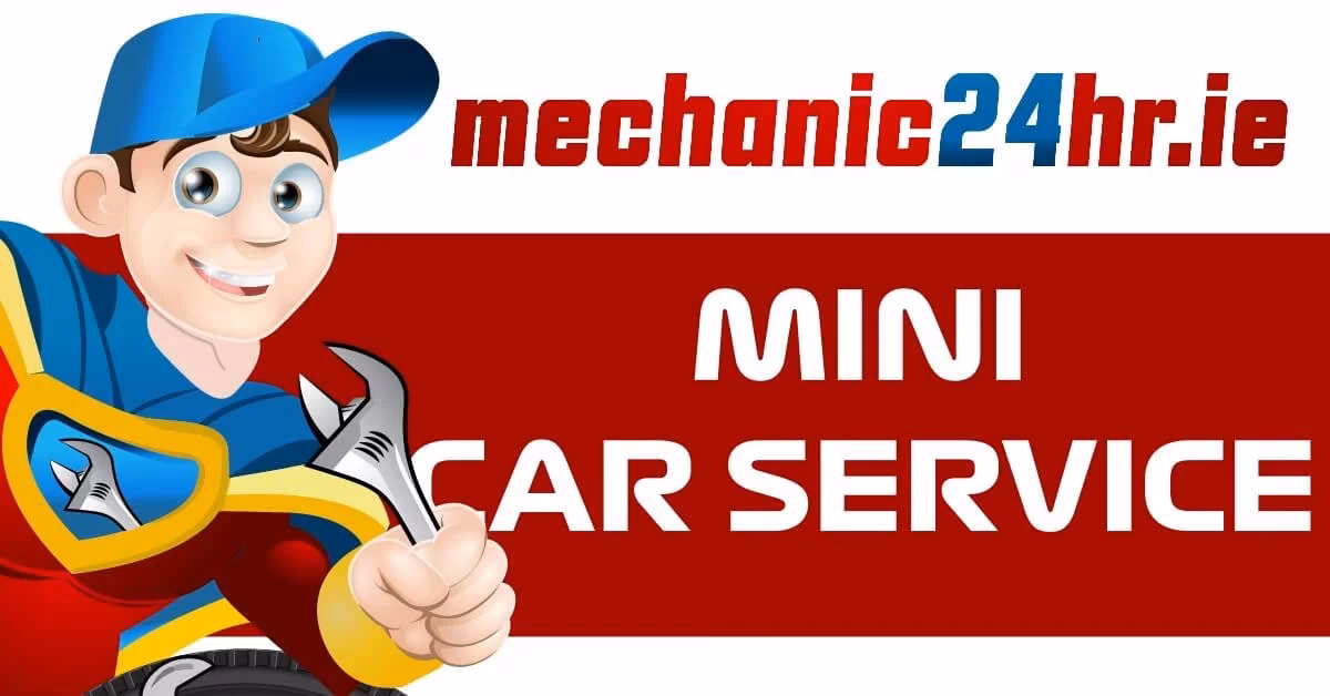 What is mini fast lane service?