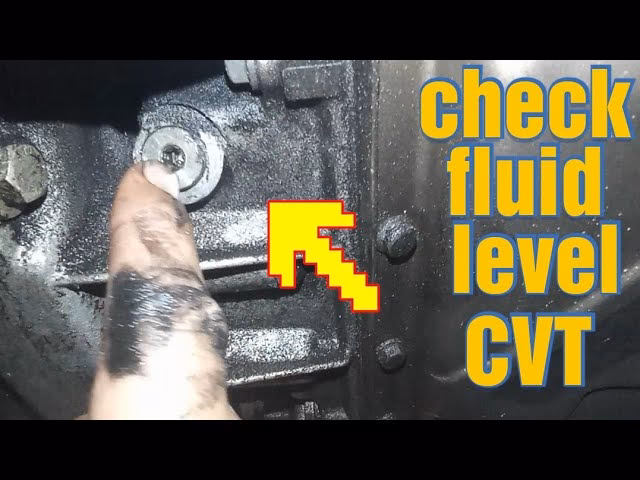 How often should you change the transmission fluid on a Mini Cooper?