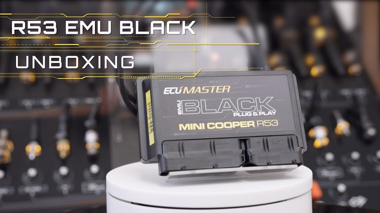 What is a mini ECU remap?