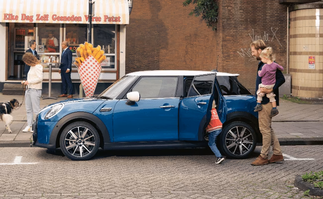 What is a mini vehicle check?