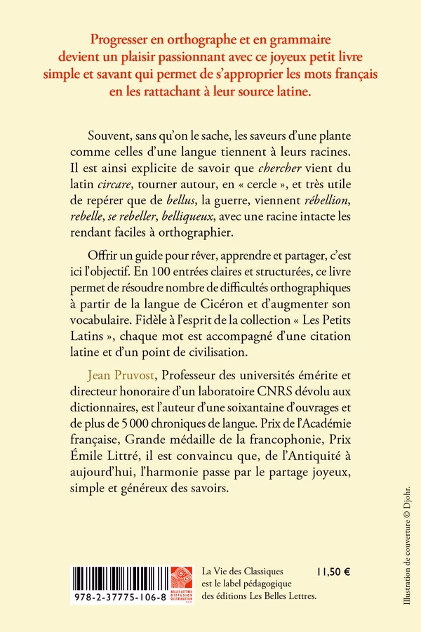 Comment utiliser le Dictionnaire des synonymes ambigu ?