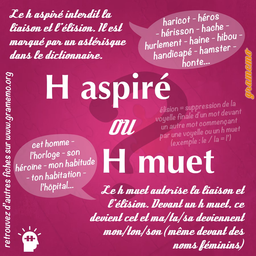 Quelle est la différence entre un h aspiré et un h muet ?