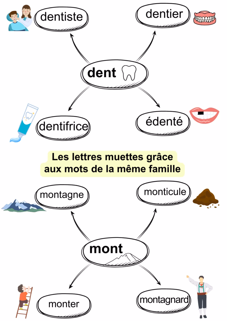 Comment savoir si une lettre est muette ?