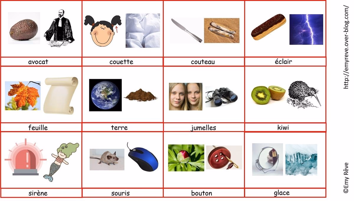 Qu'est-ce que le poly ?