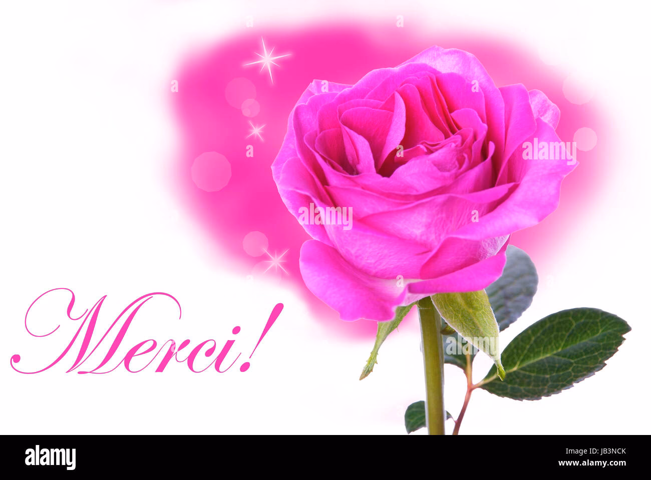 Y a-t-il des mots qui riment avec 'rose'?