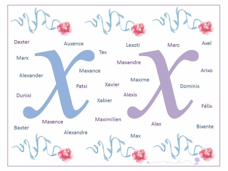 Quels sont les mots contenant la lettre X les plus fréquents en français ?