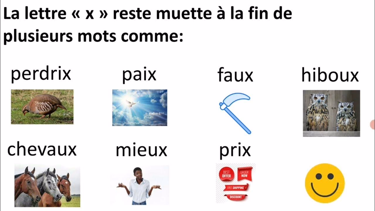 Quels sont les mots contenant les lettres suivantes J et X ?