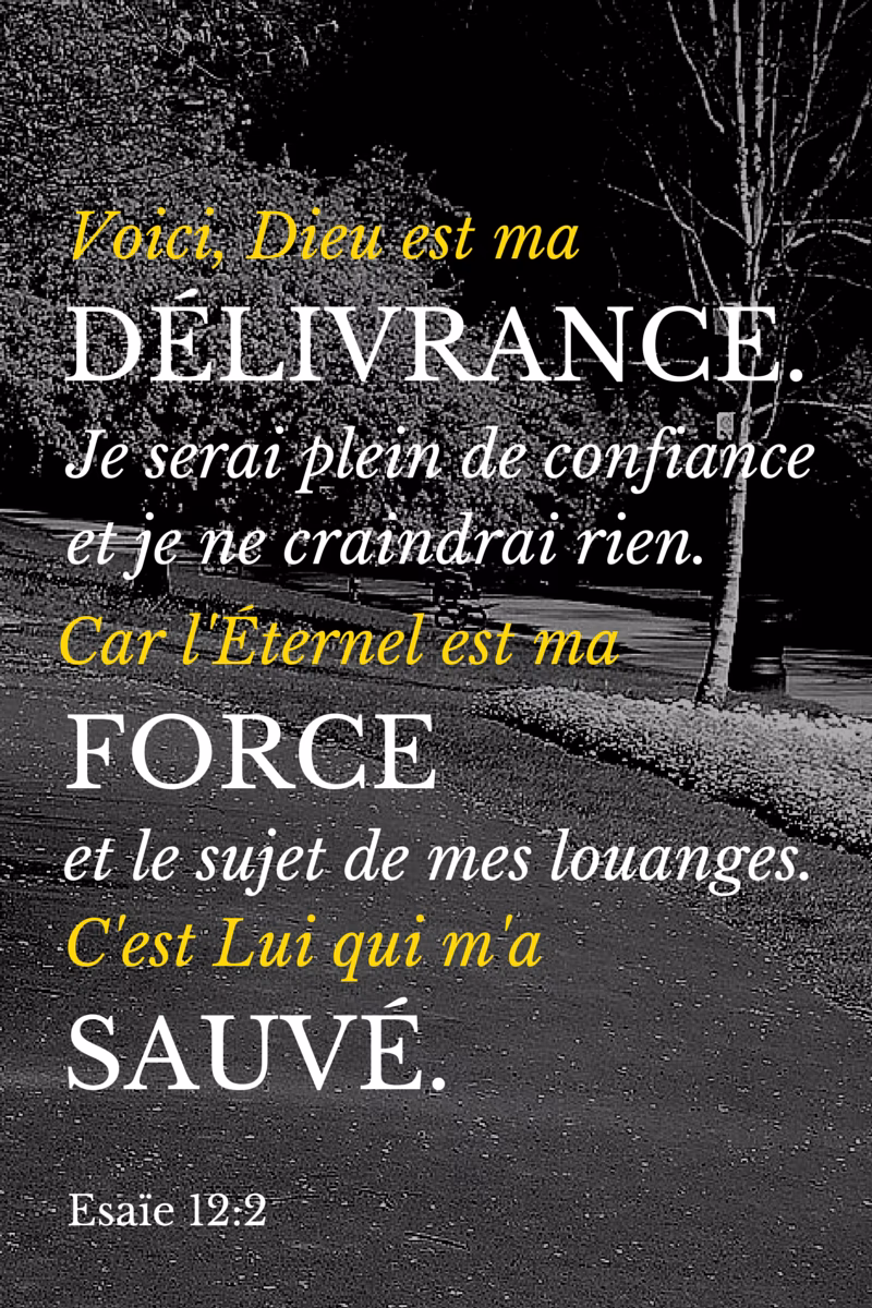 Comment faire une recherche sur un mot spécifique dans la Bible?