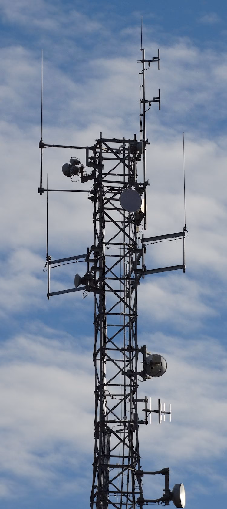 Does Halfords offer a free MOT test?