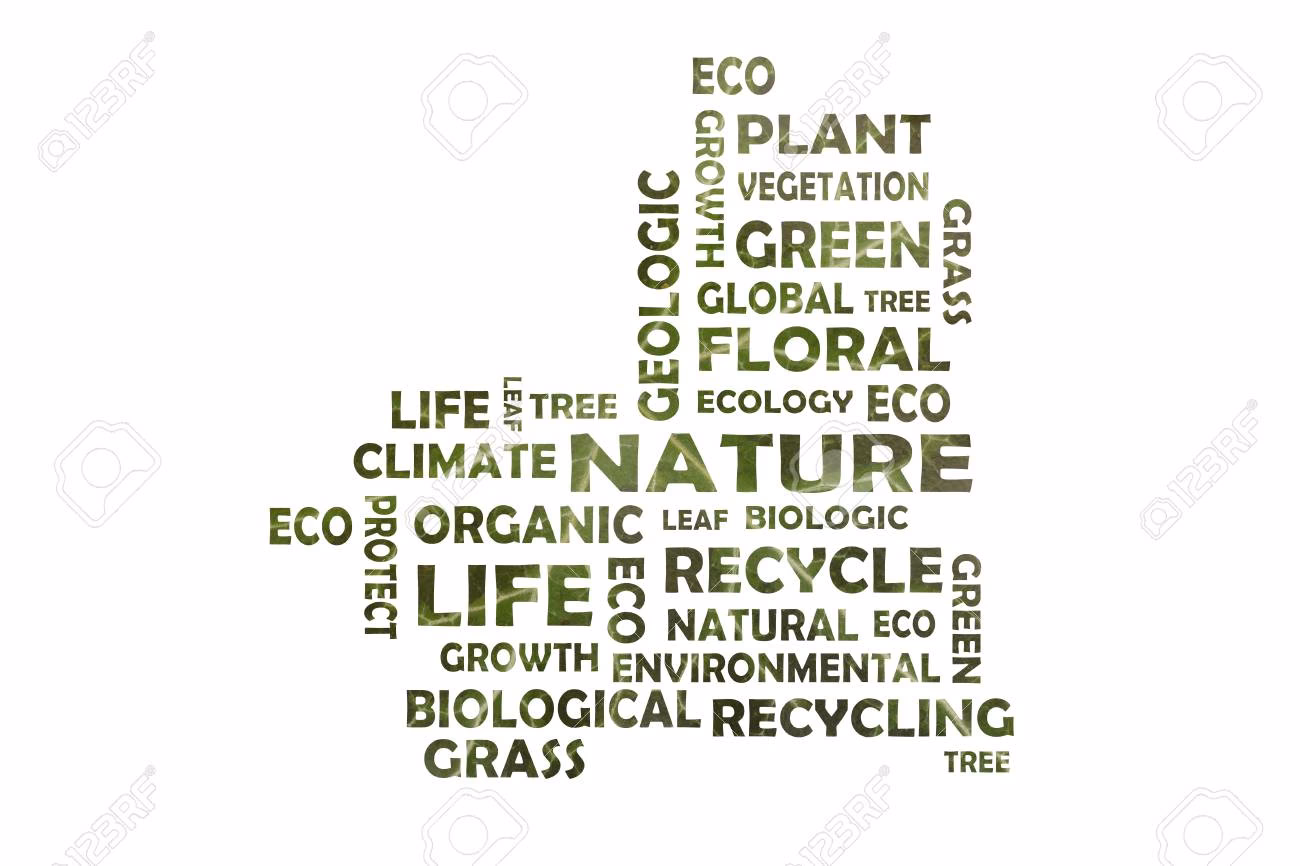 Qu'est-ce que les cycles biogéochimiques ?