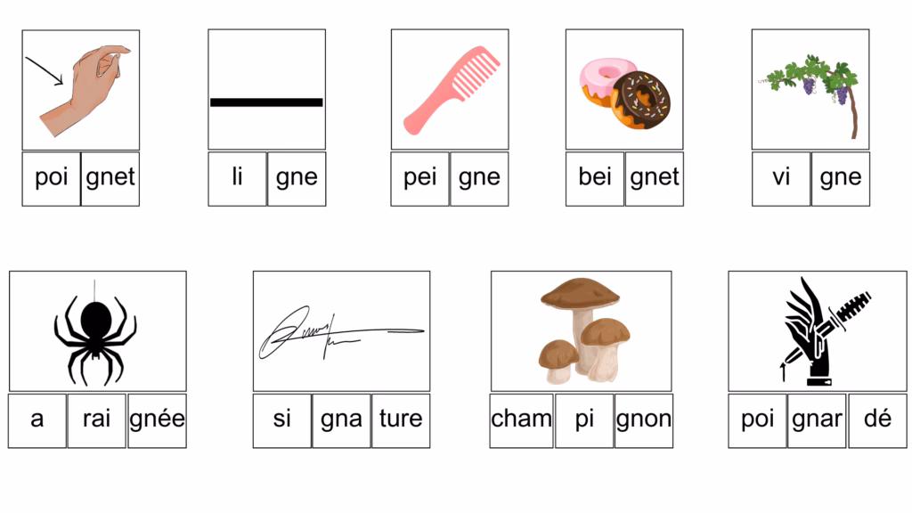 Quels sont les mots commençant par les lettres gn ?