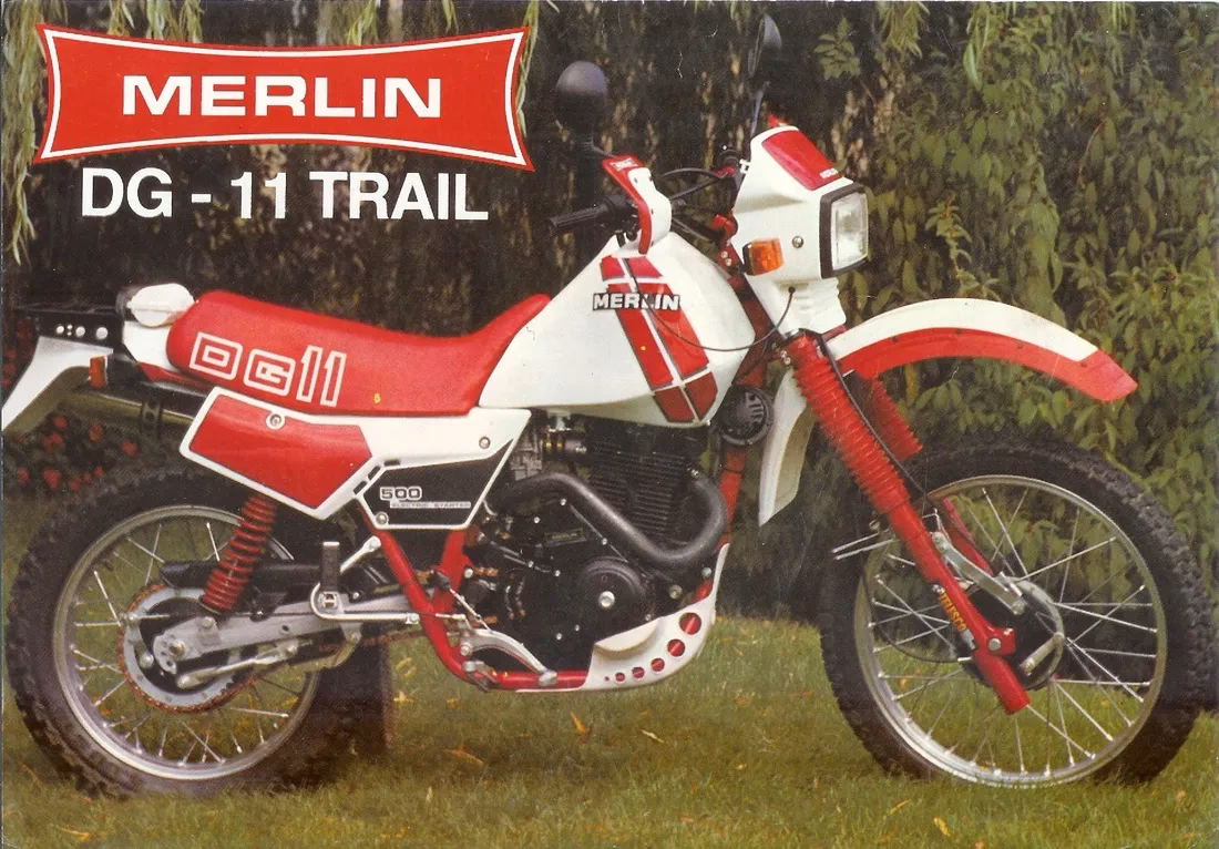 Quel est le synonyme de DG ?