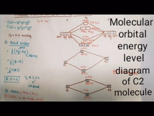 How many molecular orbitals does C2 have?