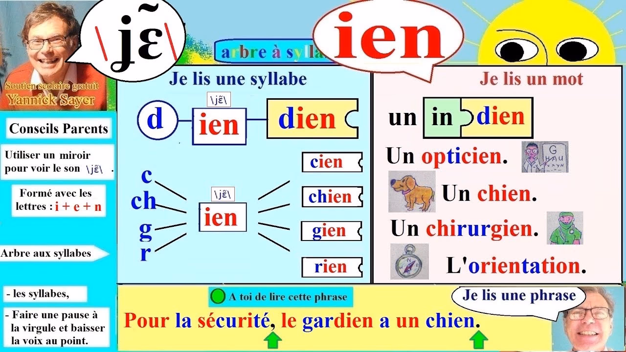 Quels sont les prérogatives des IEN ?