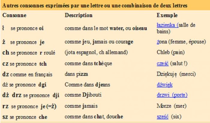 Quels sont les mots polonais à utiliser simplement sans s’inquiéter d’à qui on parle ?