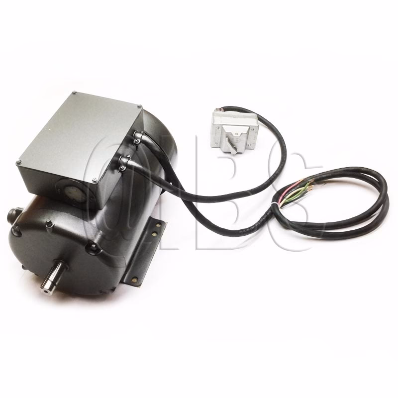 Qu'est-ce que le mot SJW?