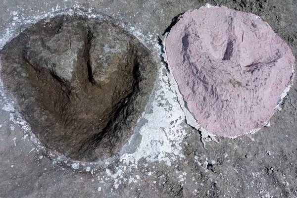 Where are dinosaur footprints found in the UK?