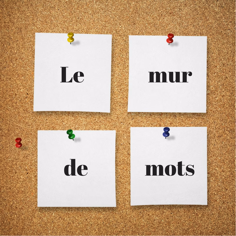 Quelle est la différence entre mur et Réaumur ?