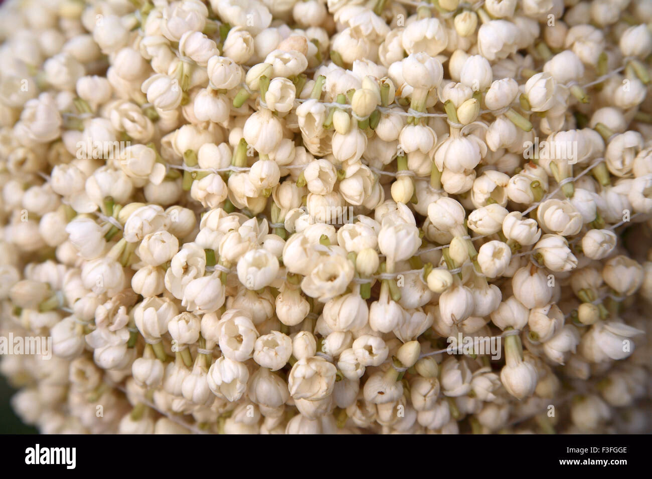 Why should a business use Motia?