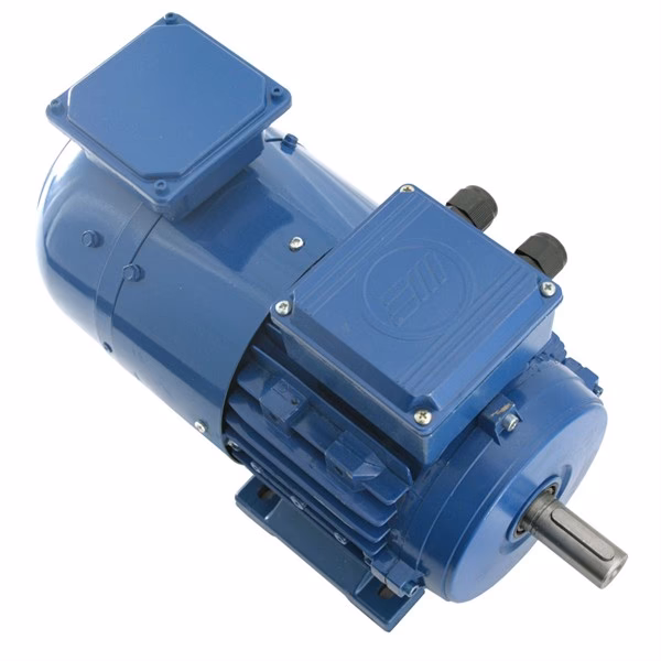 What are IE1 motors?