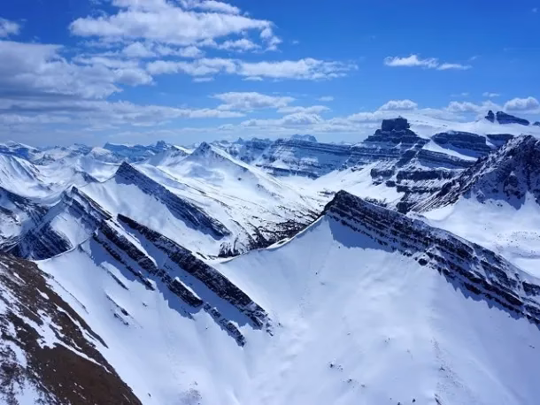 How do I register a motor vehicle in Alberta?