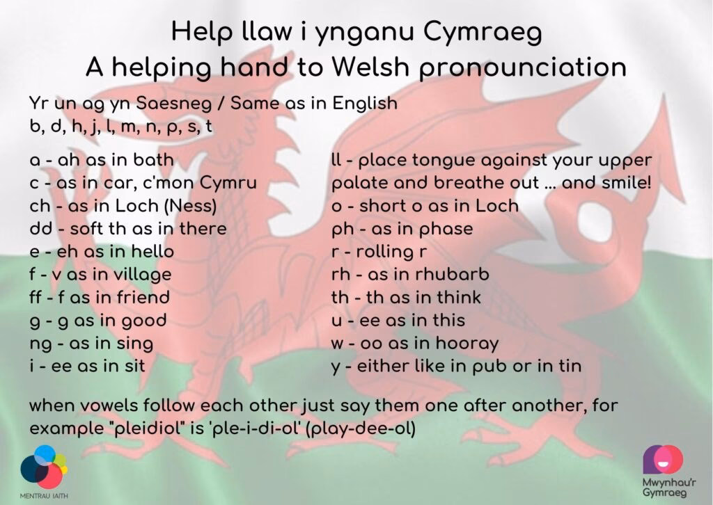 What is a Welsh-English / English-Welsh dictionary?