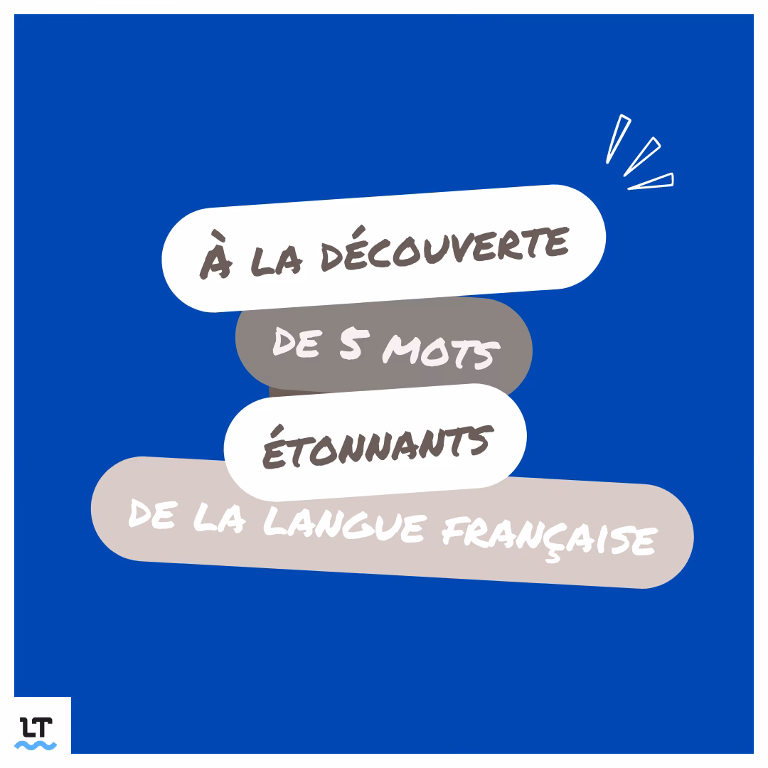 Quels sont les mots d'argot indispensables en français ?